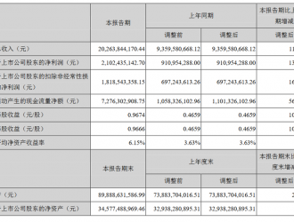 寧德時(shí)代半年財(cái)報(bào)：凈利潤增130%至21億元 四大風(fēng)險(xiǎn)需警惕